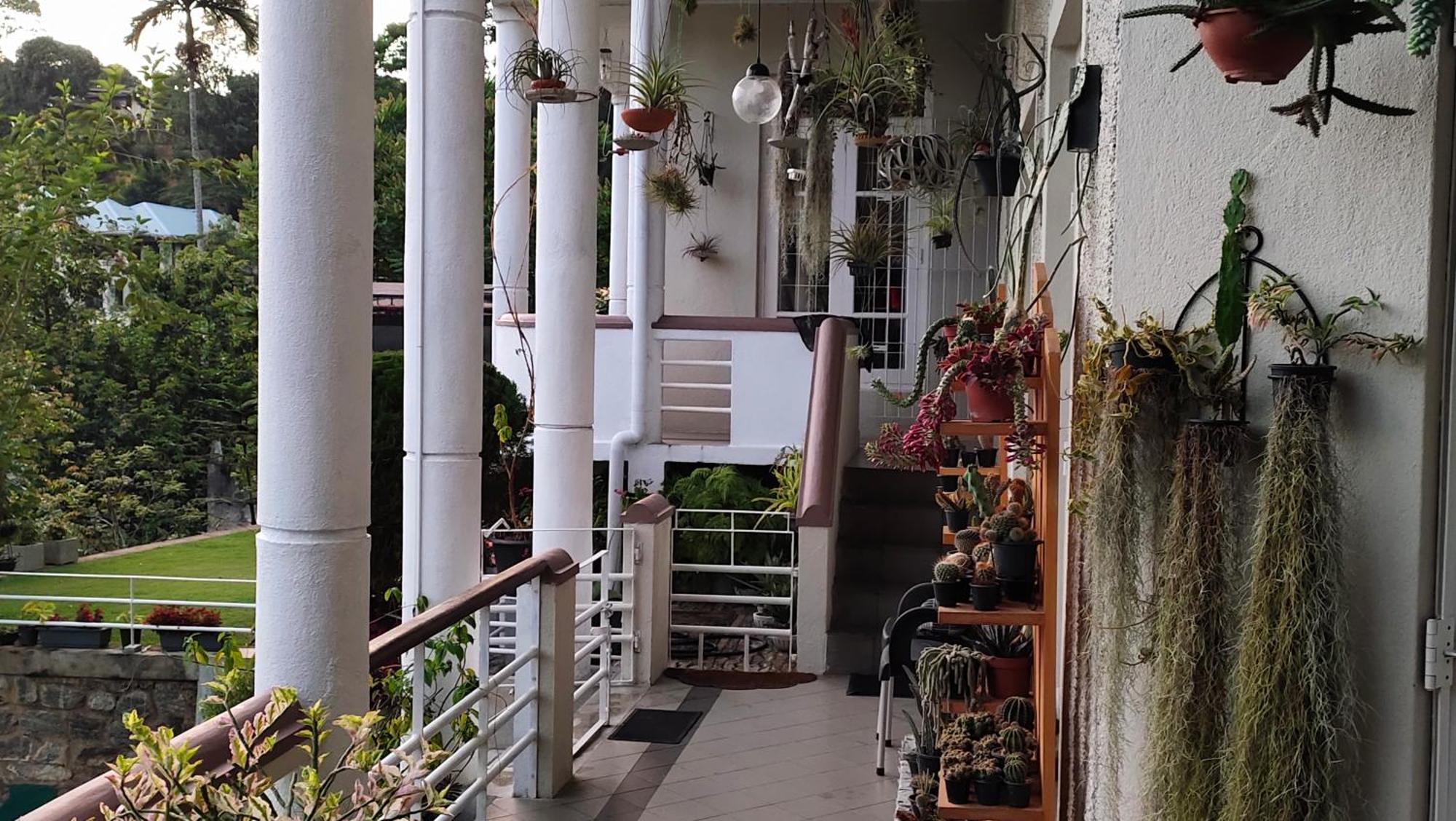 Marvel Hills Kandy Exteriér fotografie